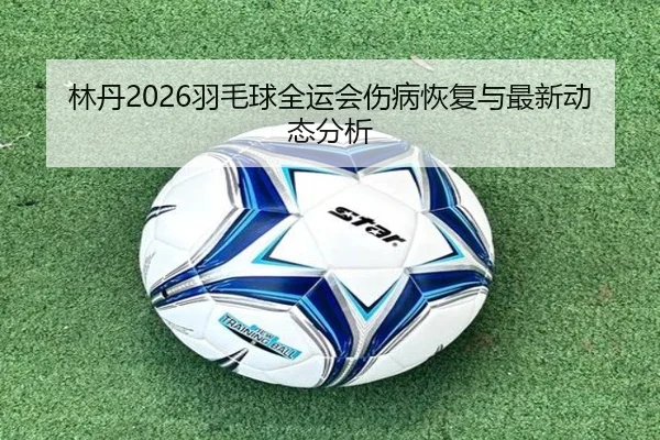 林丹2026羽毛球全运会伤病恢复与最新动态分析