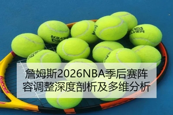 詹姆斯2026NBA季后赛阵容调整深度剖析及多维分析